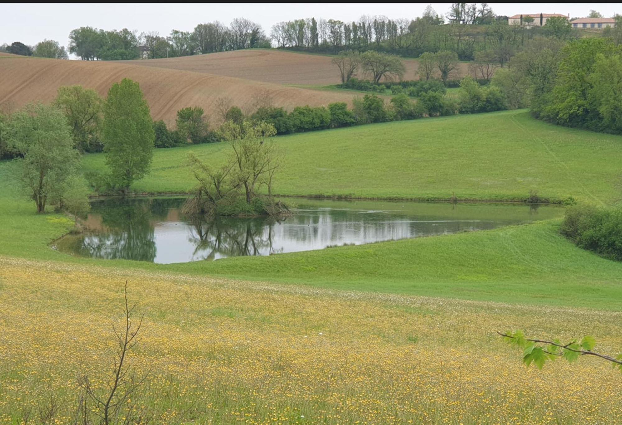 Love Room- Spa- Escale Amoureuse Puygaillard-de-Quercy Luaran gambar